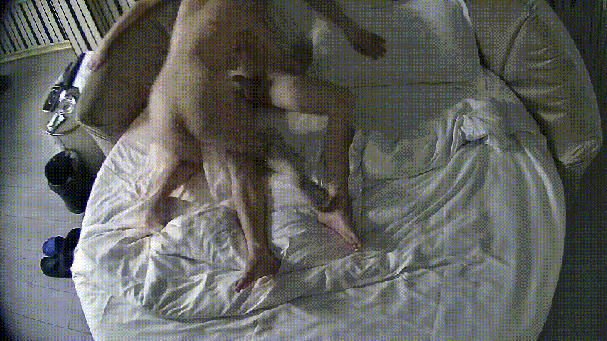 情趣台 10-26 妓女小姐姐接客 来了个精瘦的小年轻 妓女小姐口一下操一下 小伙子实力差得很呐